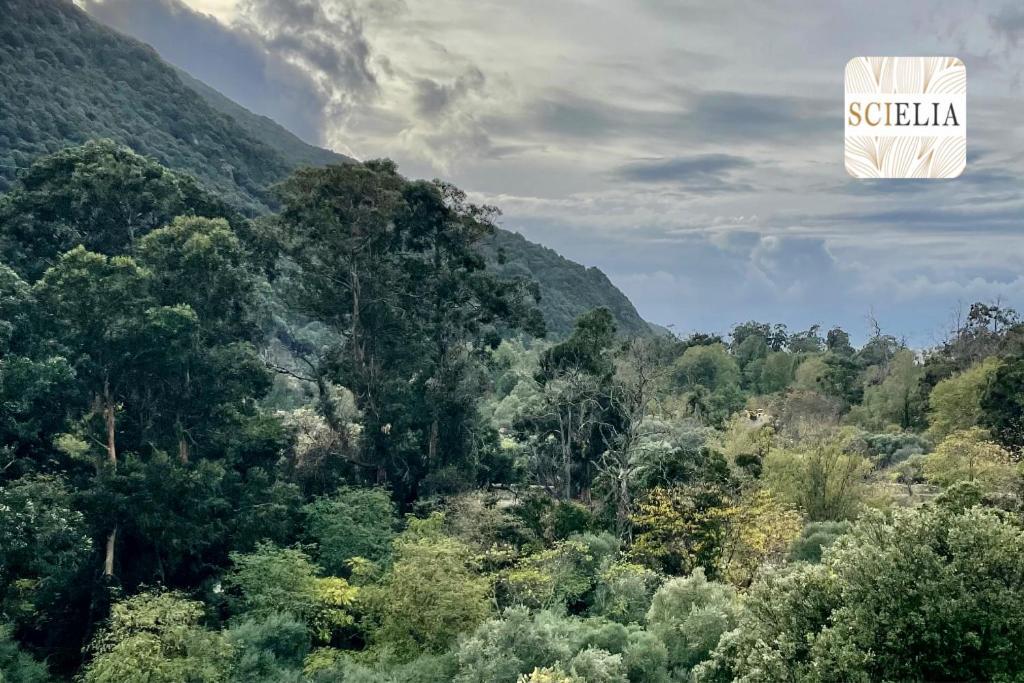Appartamento Chez Francoise Porto  Esterno foto