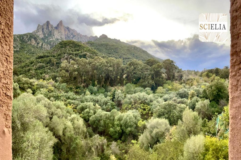 Appartamento Chez Francoise Porto  Esterno foto